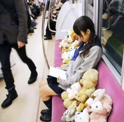Thiếu nữ và thú cưng độc chiếm chỗ ngồi nơi công cộng.