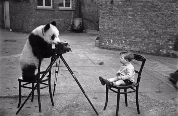 Cười lên nào cậu chủ!