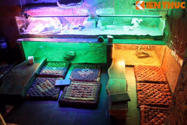 Một không gian khác của Pet được thiết kế để khách có thể ngồi bệt vừa dùng đồ uống vừa có thể ngắm thằn lằn chạy nhảy, trăn cuộn mình.