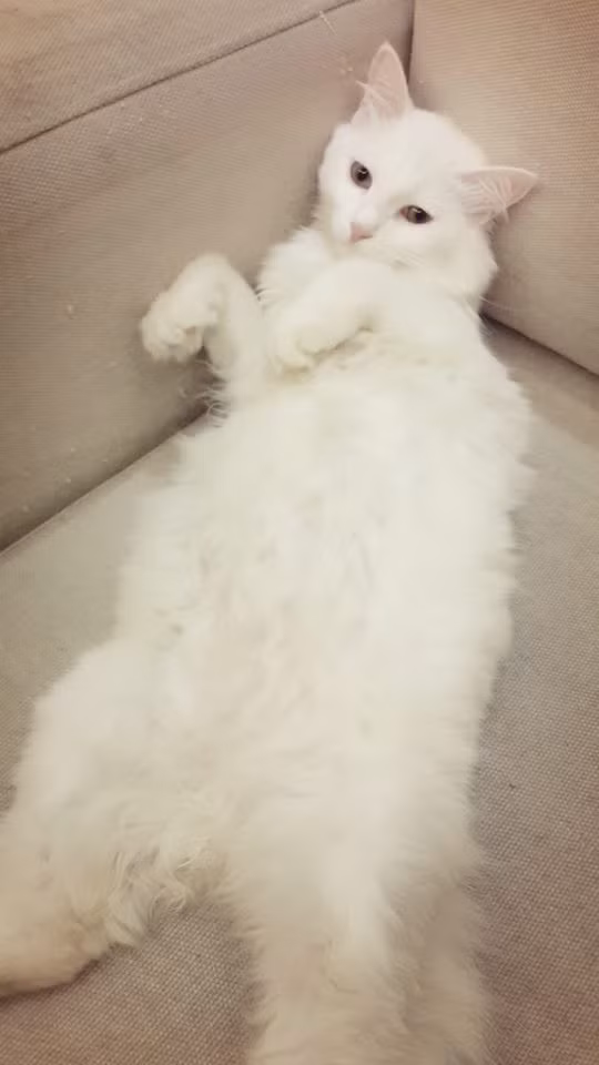 Đã chụp cho em xong chưa ạ!