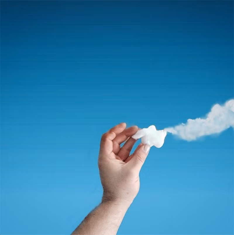 Các tác phẩm của Markus Einspannie được chú ý và lan truyền nhanh chóng trên mạng xã hội, đem đến nhiều ngạc nhiên thích thú cho những người thưởng thức đồng thời nhận lại nhiều lời khen ngợi, ủng hộ.