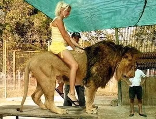 Cô ấy và sư tử là đôi bạn thân.