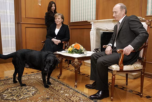 Ông Putin, bà Merkel và vị khách "không mời" Koni trong một cuộc nói chuyện ở Sochi hồi năm 2005.