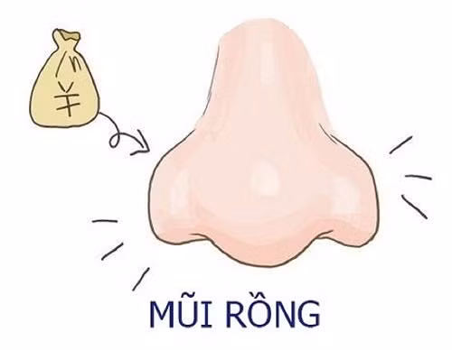 Đàn ông giàu sang phú quý đều sở hữu 1 trong 4 tướng mũi này Dan ong giau sang phu quy deu so huu 1 trong 4 tuong mui nay