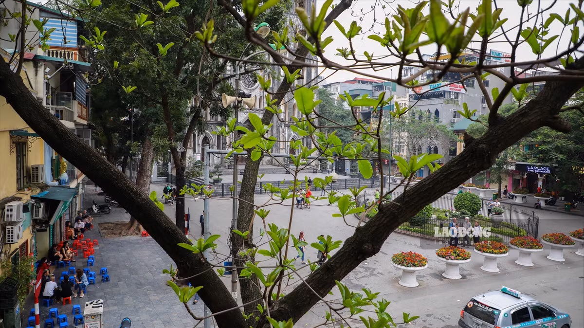 Với nhiều bạn trẻ ở Thủ đô, “trà chanh nhà thờ” là một trong những địa chỉ quen thuộc cho những cuộc hẹn. Ảnh: Hoài Anh