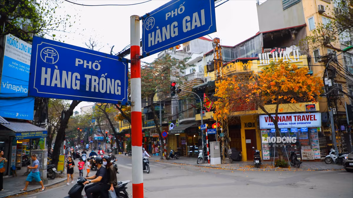 Ngoài phố Nhà Chung, nhiều tuyến phố hiện đang được neo mức giá cao hơn rất nhiều so với mức niêm yết của UBND Hà Nội. Trong đó có thể kể đến phố Gia Ngư (888 triệu/m2), phố Hàng Gai (816 triệu/m2), phố Trần Bình Trọng (878 triệu/m2), phố Hàng Trống (801 triệu/m2). Ảnh: Phan Anh (Theo Lao Động)