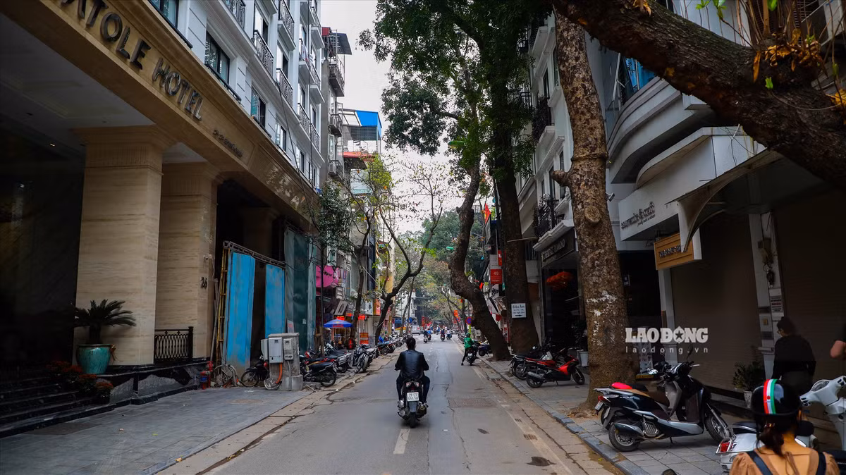 Tuyến phố này có nhiều khách sạn và các địa điểm du lịch nổi tiếng như Nhà thờ Lớn, cách hồ Gươm khoảng 200m. Cũng vì lẽ đó, giá đất tại phố Nhà Chung luôn đứng ngôi đầu bảng. Ảnh: Hoài Anh