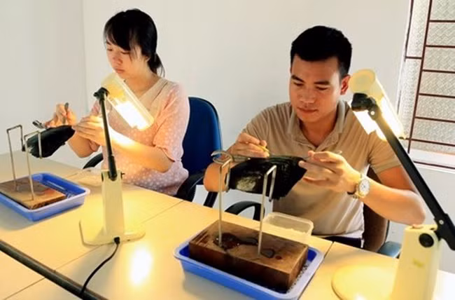 Nhả thứ bé tẹo mà bán 'hốt bạc', nhiều người 'ôm' tiền tỷ - Hình 6 Nha thu be teo ma ban 'hot bac', nhieu nguoi 'om' tien ty-Hinh-6