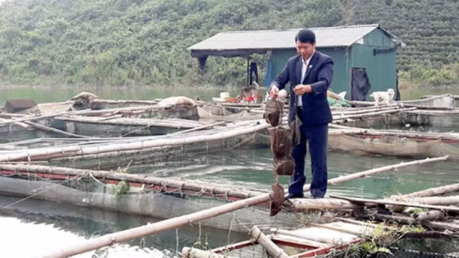 Nhả thứ bé tẹo mà bán 'hốt bạc', nhiều người 'ôm' tiền tỷ - Hình 9 Nha thu be teo ma ban 'hot bac', nhieu nguoi 'om' tien ty-Hinh-9