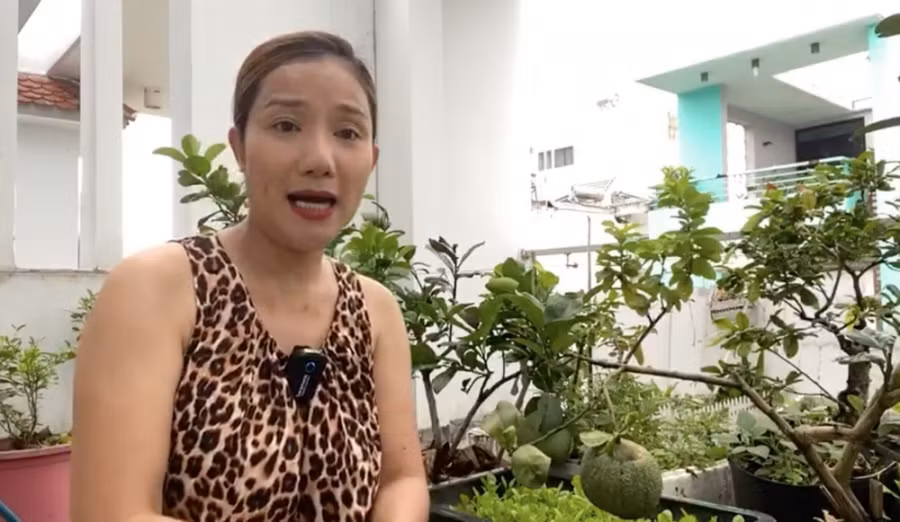 MC Cat Tuong phan phao khi bi nem da la nghe si xau, song ao