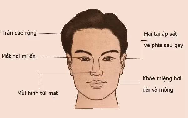 Tướng mặt đàn ông khí chất, giàu có, chắc chắn phát tài sau tuổi 30 Tuong mat dan ong khi chat, giau co, chac chan phat tai sau tuoi 30
