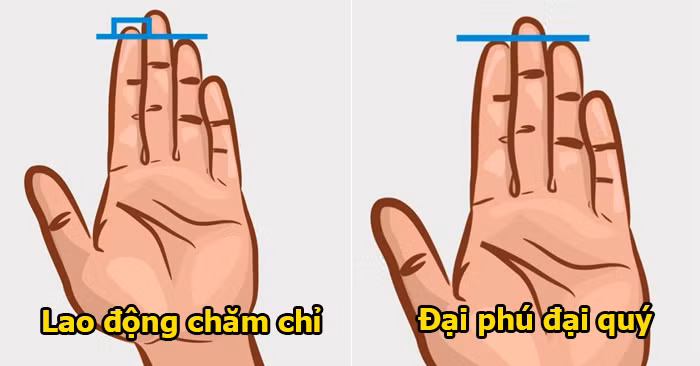 Tướng bàn tay chôn tiền, cả đời chẳng bao giờ lo nghèo đói - Hình 2 Tuong ban tay chon tien, ca doi chang bao gio lo ngheo doi-Hinh-2