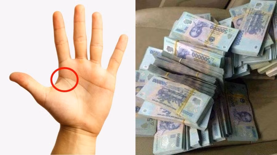 Tướng bàn tay chôn tiền, cả đời chẳng bao giờ lo nghèo đói Tuong ban tay chon tien, ca doi chang bao gio lo ngheo doi