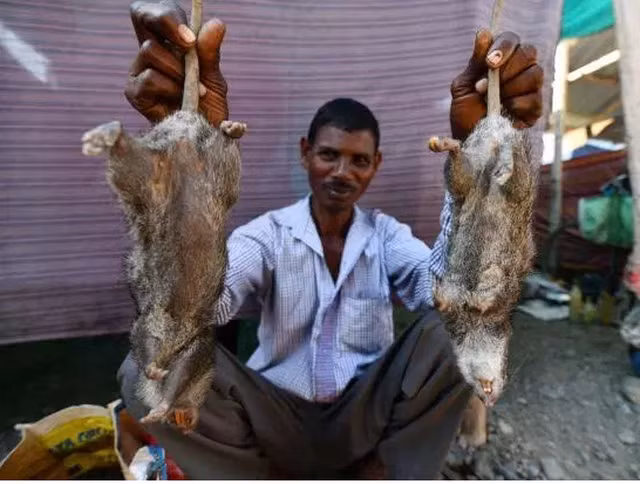 O noi thit chuot duoc coi la dac san tuyet dinh kungfu-Hinh-4