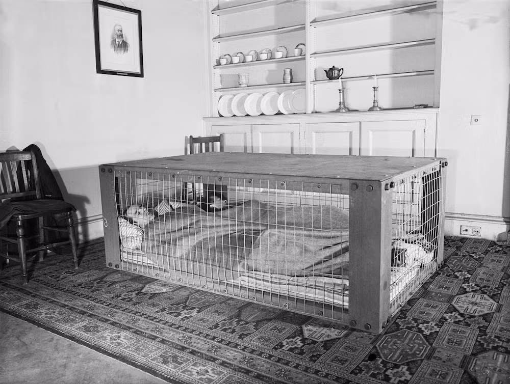 Cặp đôi ngủ trong chiếc lồng bảo vệ vào năm 1941. Chiếc lồng này giúp người nằm trong được bảo vệ nếu chẳng may trần nhà sập xuống nếu có một cuộc oanh tạc xảy ra. (Ảnh: Wikipedia)
