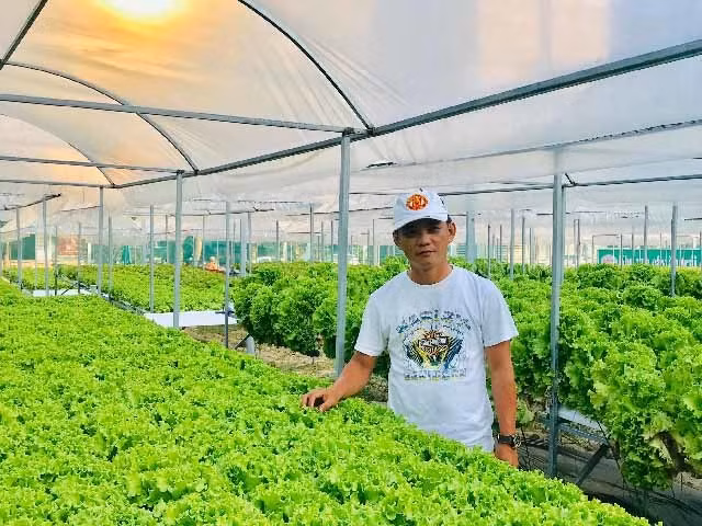 Da Nang: 7X 'hai' tien deu nhu vat chanh tu vuon rau thuy canh