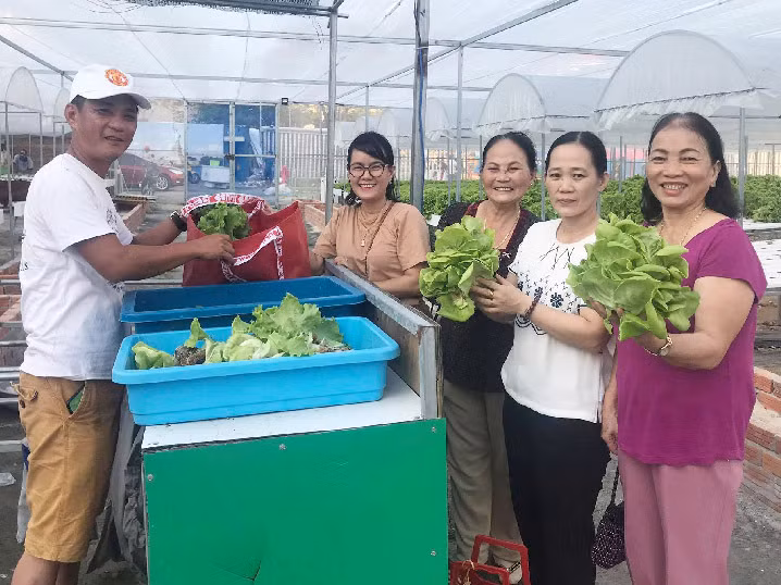 Da Nang: 7X 'hai' tien deu nhu vat chanh tu vuon rau thuy canh-Hinh-2