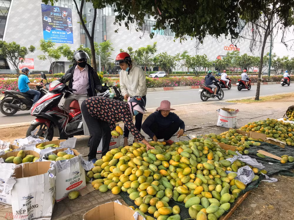 Xoai do dong ban day duong pho, gia chi 10.000 dong/kg-Hinh-4