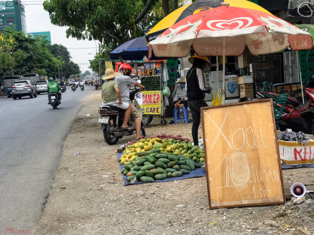 Xoai do dong ban day duong pho, gia chi 10.000 dong/kg-Hinh-9