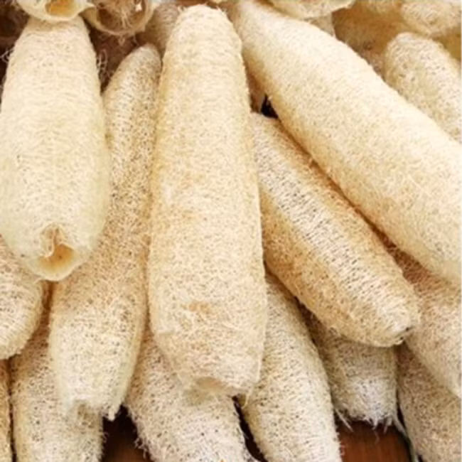 Trước toàn vứt sọt rác, giờ là 'kho tiền' cho nhiều người - Hình 2 Truoc toan vut sot rac, gio la 'kho tien' cho nhieu nguoi-Hinh-2