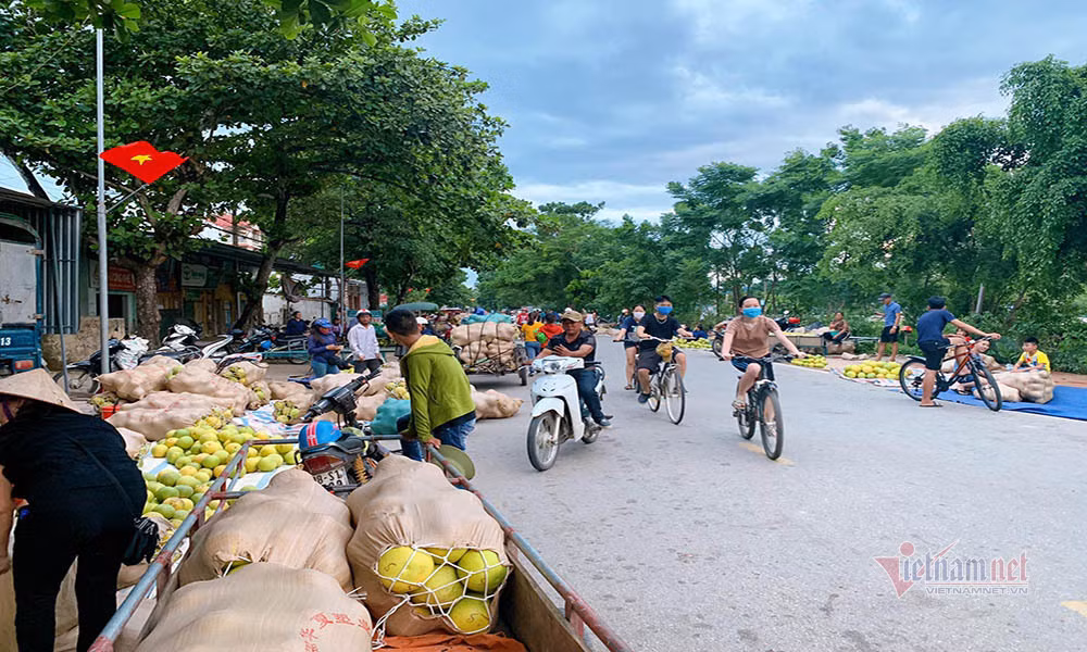 Dac san rot gia, re nhat 20 nam qua, dan soi den di cho thau dem