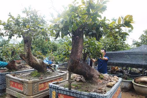 Cap Tien dong - Ngoc nu cua vua mai vang Yen Tu