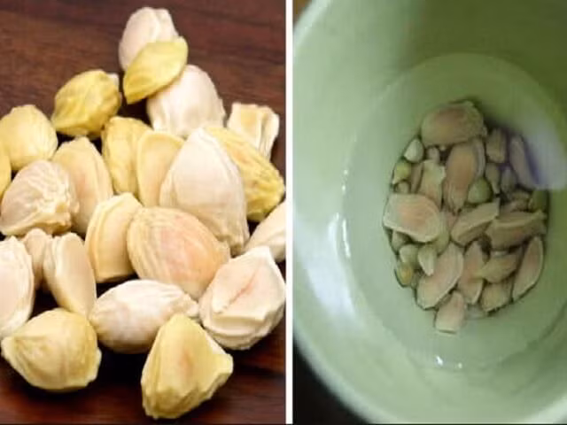 Làm đẹp da, giảm cân chữa bệnh từ một loại hạt bỏ đi Lam dep da, giam can chua benh tu mot loai hat bo di