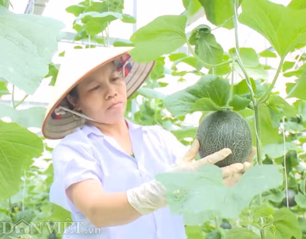 Dua nghe nhac thinh phong cho nhieu trai, ngon ngot hon-Hinh-5