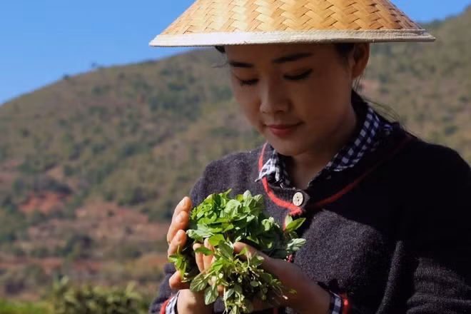 Co gai bo pho ve que cham soc cha bat ngo thanh hot vlogger-Hinh-3
