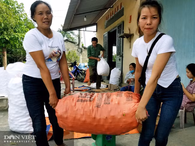 Vung dat co loai qua ten nghe nhu chim vi ngon 'tuyet pham'-Hinh-9