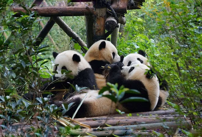 Trung Quoc co hang 