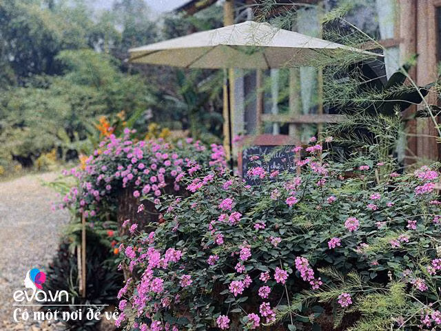 Chan noi do khoi bui me 8X don ra ngoai o yen binh het nhu phim-Hinh-28