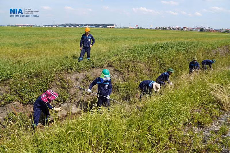 Nhan vien san bay Noi Bai dam mo hoi lam viec giua nang gat-Hinh-11