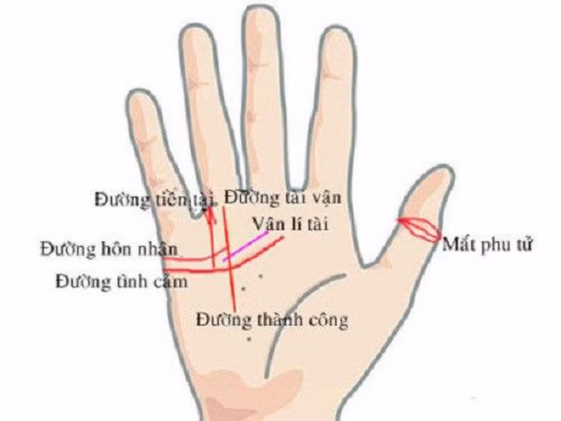 Bàn tay bạn xuất hiện 4 điều này, gia chủ được thần tài độ Ban tay ban xuat hien 4 dieu nay, gia chu duoc than tai do
