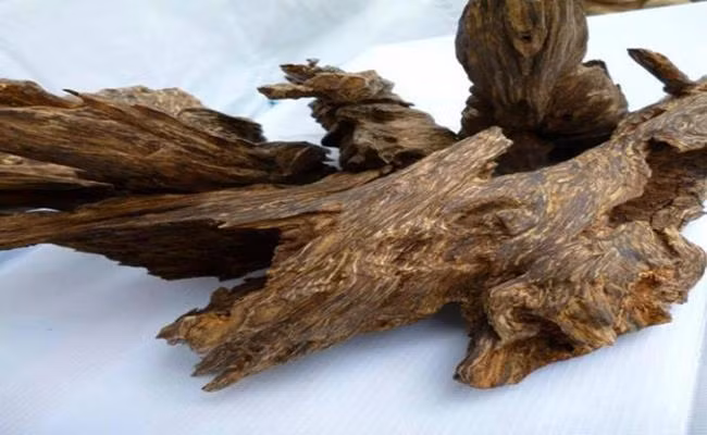 Hàng Việt Nam vừa đắt vừa hiếm, khách quốc tế 'thèm thuồng' - Hình 5 Hang Viet Nam vua dat vua hiem, khach quoc te 'them thuong'-Hinh-5