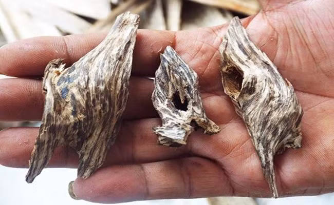 Hàng Việt Nam vừa đắt vừa hiếm, khách quốc tế 'thèm thuồng' - Hình 9 Hang Viet Nam vua dat vua hiem, khach quoc te 'them thuong'-Hinh-9