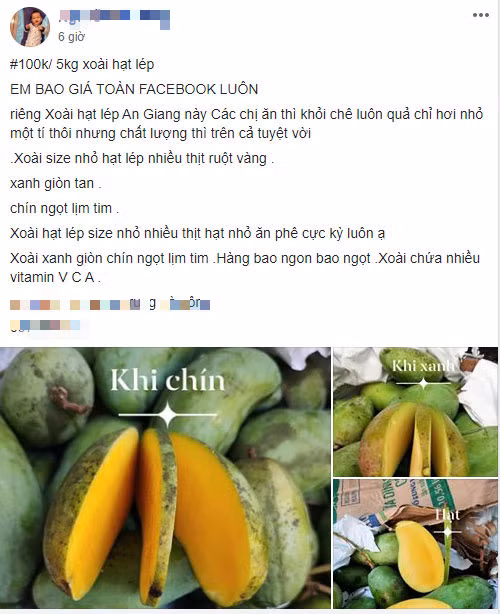 Xoai rot gia khung khiep, re hon di mua rau-Hinh-3