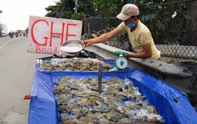 Ghẹ xanh “siêu rẻ” bán đầy lề đường ở TP.HCM Ghe xanh “sieu re” ban day le duong o TP.HCM