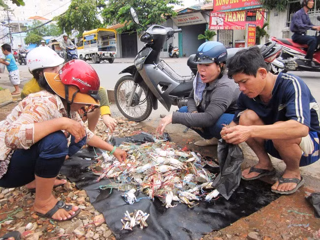 Ghẹ xanh “siêu rẻ” bán đầy lề đường ở TP.HCM - Hình 5 Ghe xanh “sieu re” ban day le duong o TP.HCM-Hinh-5