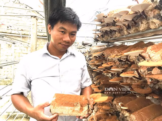 Trong nam cong nghe cao, anh ky su dien thu 2 ty moi nam-Hinh-4