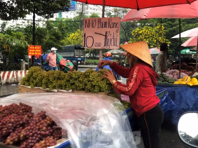 Nho Phan Rang giá 20.000 đồng/kg, trong khi năm ngoái, gia đình tôi xuống tận vườn mua khi đi du lịch thì cũng giá tầm mức này - chị Thơm (ngụ Q.6) chia sẻ.