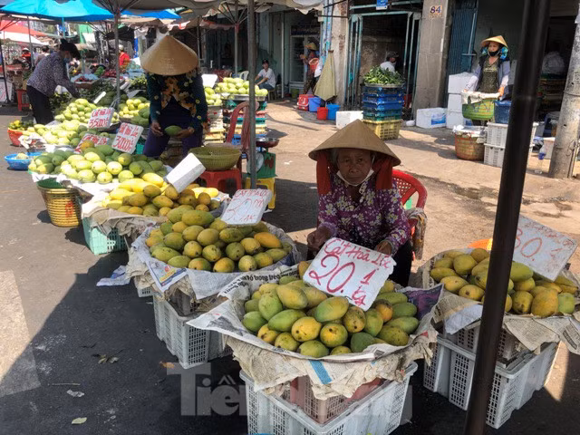 Xoài càng chín thì giá lại giảm xuống. Bà Tâm (bán trái cây rầu rĩ): "Bán cái gì còn để dành được, chứ bán trái cây là thua. Tôi đem xuống chợ gần 50kg xoài nhà trồng nhưng sáng giờ chưa bán được bao nhiêu. Các dãy hàng xung quanh cũng quá nhiều xoài nên càng khó bán".