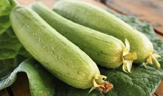 Neu thay muop co dau hieu nay phai bo ngay keo mat mang