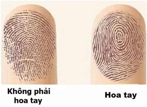 Soi tuong hoa tay giup cho ban biet truoc tuong lai cua minh