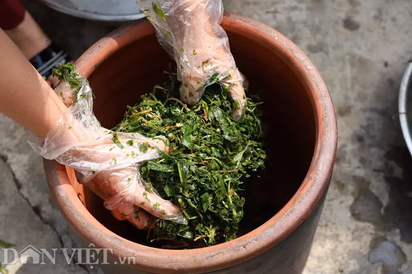 Rau mot thoi an chong doi, nay thu ca trieu dong moi ngay-Hinh-2