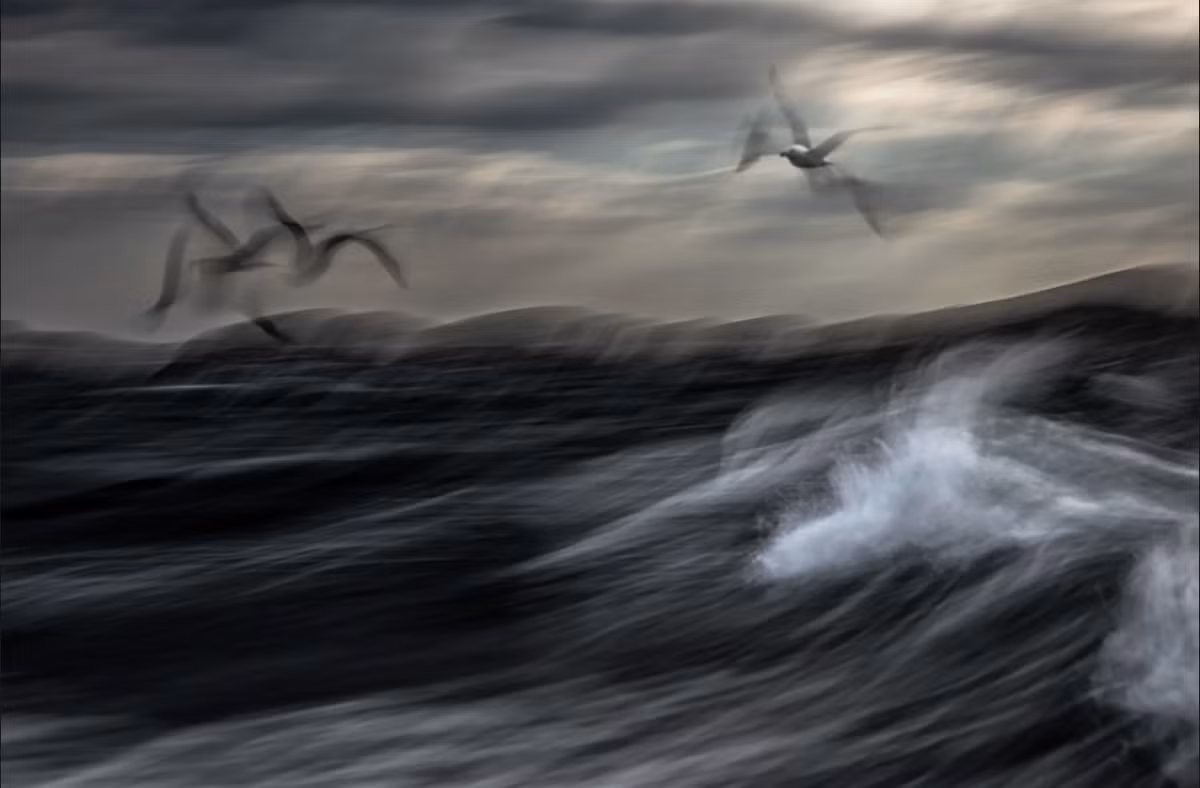 Tác phẩm được trao giải nhì ở cùng hạng mục là Restless Sea (tạm dịch: Biển không ngừng nghỉ) của Jiří Hřebíček từ Czech, chụp những con mòng biển. Ảnh: Jiří Hřebíček.