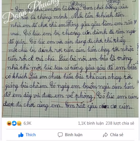 Bai van ta con cho ba dao cua be tieu hoc-Hinh-2