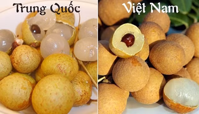Muon mua nhan ngon day cui hay nam bi quyet sau-Hinh-2