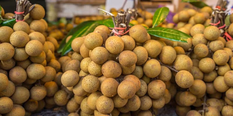 Muon mua nhan ngon day cui hay nam bi quyet sau-Hinh-3