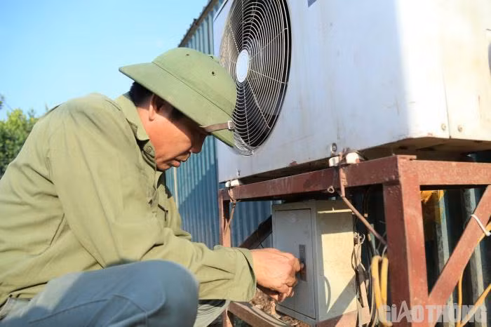 Dao tien vua nam phong dieu hoa cho Tet Nguyen dan-Hinh-2